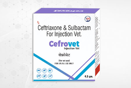 Cefrovet