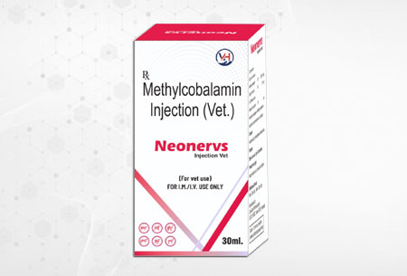 Neonervs