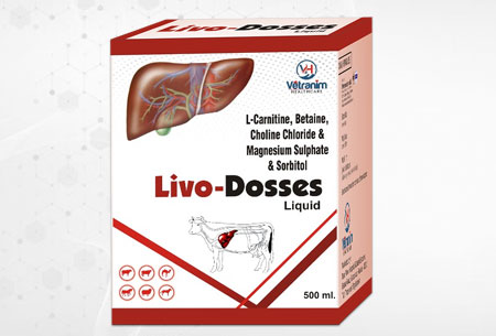 Live Dosses