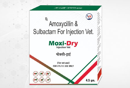 Moxi-Dry