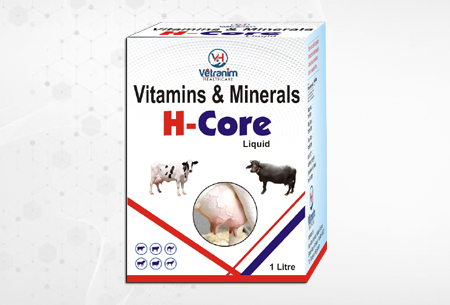 H-Core