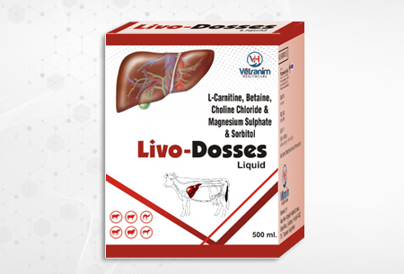 Live Dosses