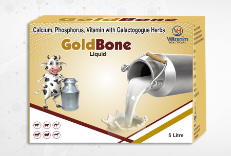 Glod Bone